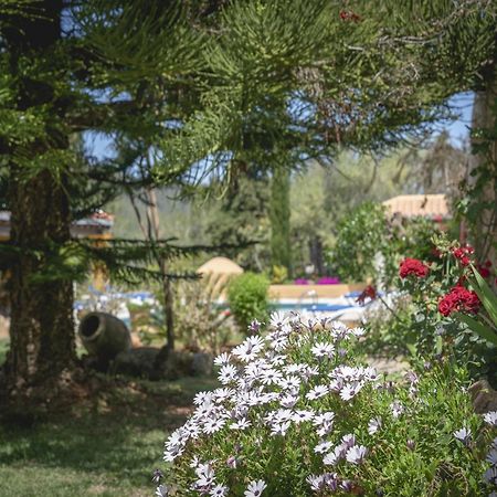 Mansion In Santa Eulalia Del Rio With Private Pool Villa Exterior photo